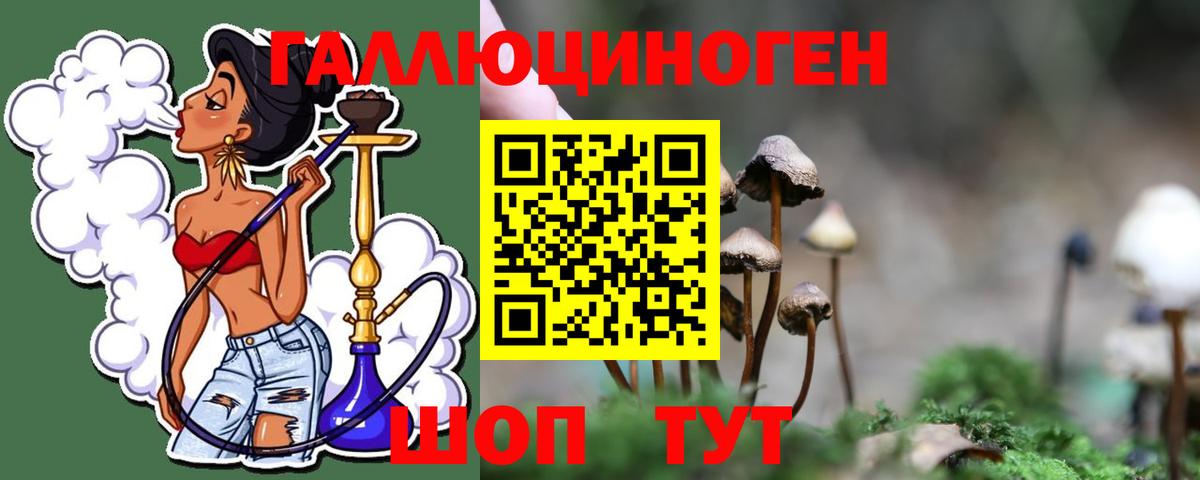 Галлюциногенные грибы прущие грибы  Галлюциногенные грибы MAGIC MUSHROOMS  где найти наркотики  Благодарный  Вход с VPN 